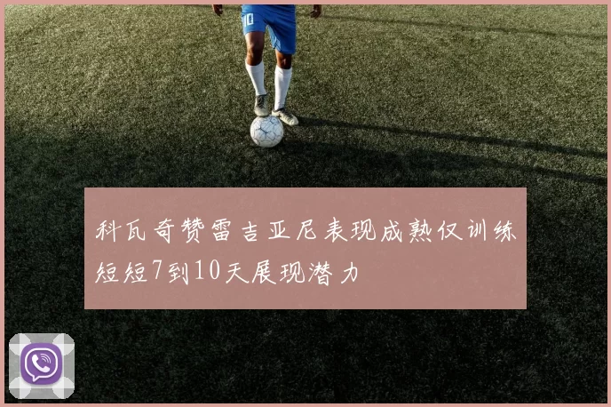 科瓦奇赞雷吉亚尼表现成熟仅训练短短7到10天展现潜力